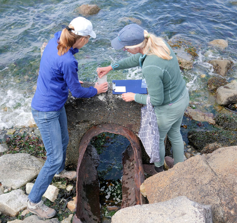 Friends of Skagit Beaches collecting samples from an outfall at low-tide. Courtesy of Friends of Skagit Beaches