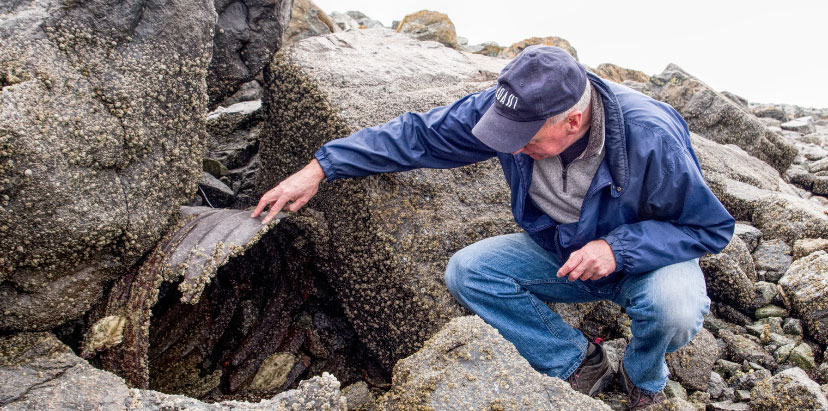 Tim Gohrke assesses the condition of an outfall at low-tide. Courtesy of Friends of Skagit Beaches